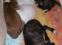 Bild:  / 20170211_114254_gemeinsam_6wo.jpg